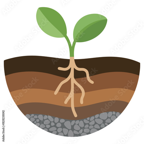 Soil layers diagram land section geology infographic isolated vector illustration on white background