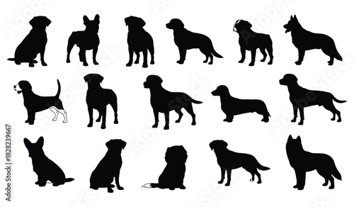 Diverse dog breed silhouettes collection, various poses, clean graphic design Vector