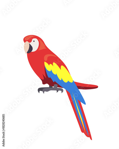 red and yellow macaw ara