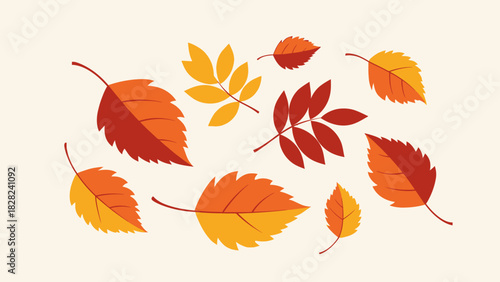 A collection of colorful autumn leaves in various shapes and sizes, showcasing the vibrant hues of fall.