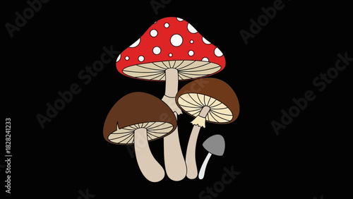 Illustration of a cluster of mushrooms, including a red and white spotted toadstool.