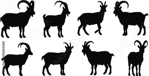 PrintSilhouette of mountain goat vector illustration set, black alpine ibex collection for logo design, isolated on white background, wild animal with horns.