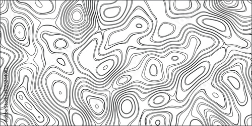 Black and White Topographic Contour Map Pattern with Organic Wavy Lines and Irregular Shapes Representing Terrain or Abstract Art