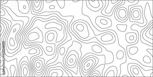 Black and White Abstract Contour Lines Pattern with Organic Wavy Shapes and Closed Loops Suggesting Terrain or Scientific Diagrams