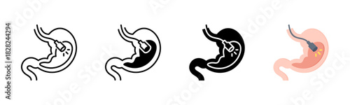 Endoscopy Icon, Multi Styles Icon Set