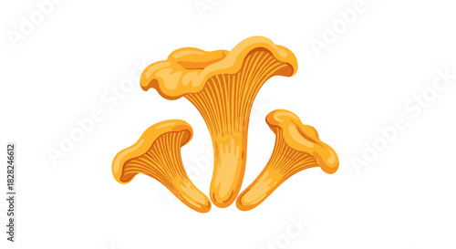 A trio of vibrant, golden-orange chanterelle mushrooms, rendered in a clean vector style, stands out against a white background.