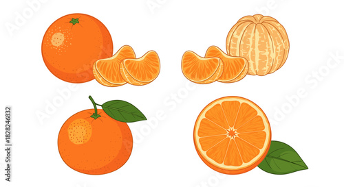 A collection of fresh, ripe citrus fruits including whole oranges, peeled tangerines, and juicy orange slices, perfect for healthy eating and refreshing concepts.