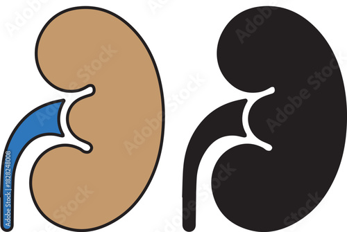 Kidney icon
