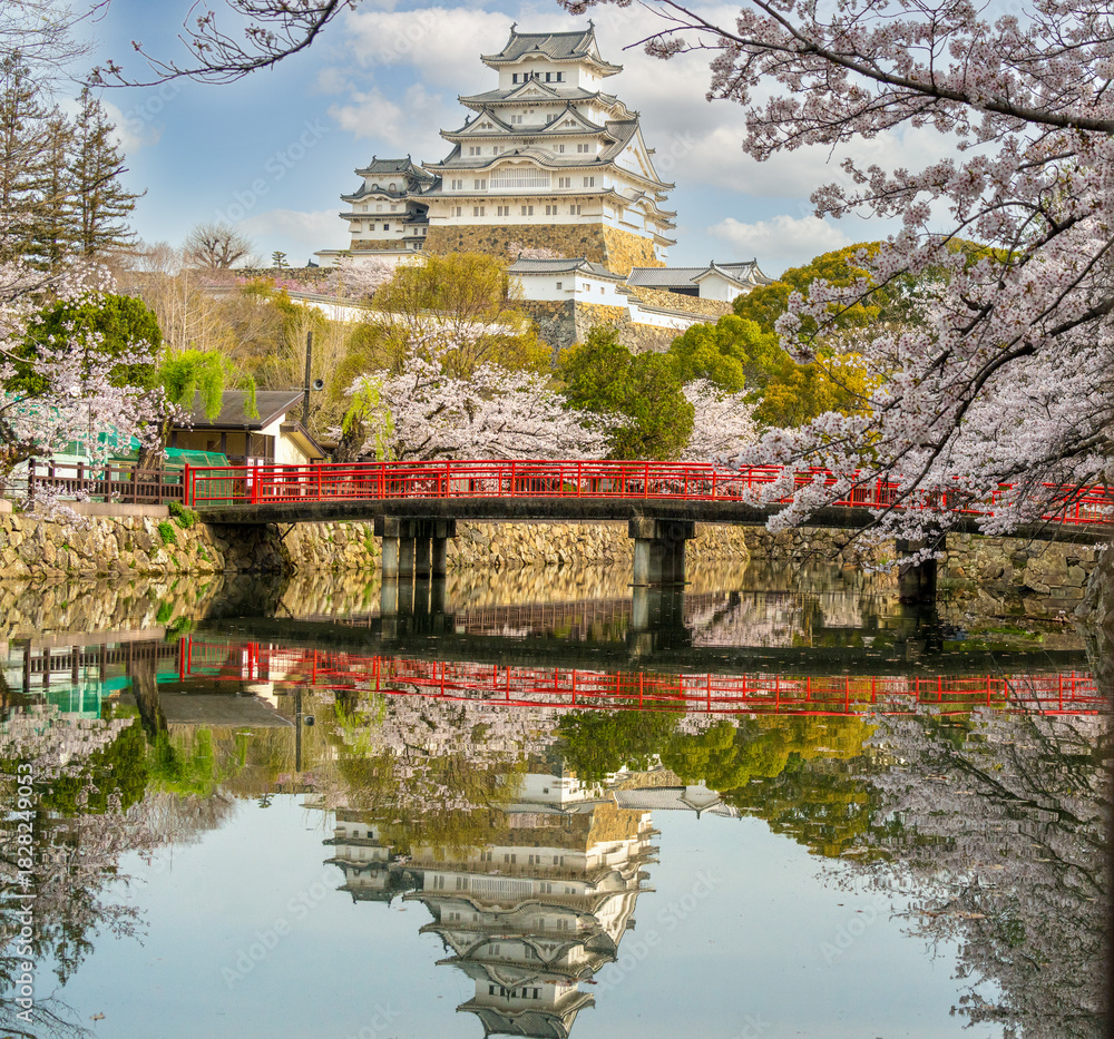 Naklejka premium Himeji Castle, Japan, framed by cherry blossoms and reflected in a moat with a red bridge in the foreground.