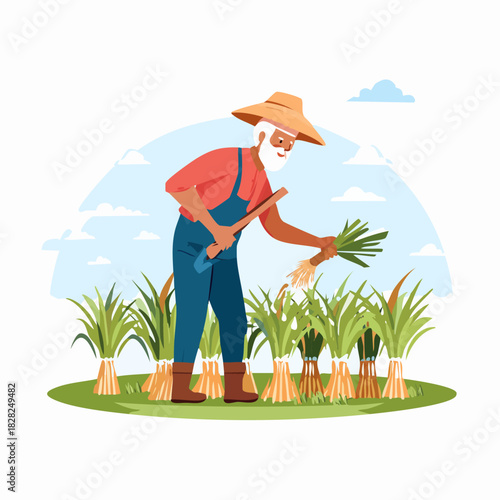Farmer Harvesting Crops in a Field Illustration.