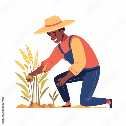 Farmer Planting Rice in a Field.