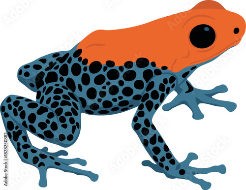 Vector illustration of Ranitomeya reticulata, a small Amazon poison dart frog with bright orange and black reticulated patterns