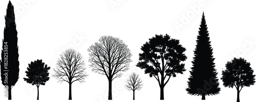 Stylized vector silhouettes of black and grayscale trees, depicting both bare winter branches and leafy summer foliage, for nature landscape design elements
