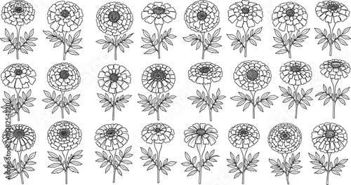 Marigold flower pattern, botanical illustration, floral grid design, blue outline art, textile wallpaper, decorative seamless background, nature inspired motif