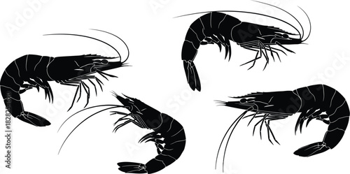 shrimp illustration, vector seafood, marine animal, crustacean drawing, aquatic life, black blue shrimp, ocean creature, graphic design element