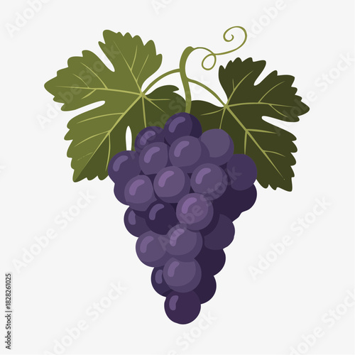 Purple grapes with leaves fresh fruit.