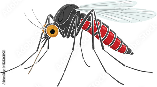 Cartoon mosquito with red and black segmented body, transparent wings, and orange eyes, vector insect for science, health, and education themes.