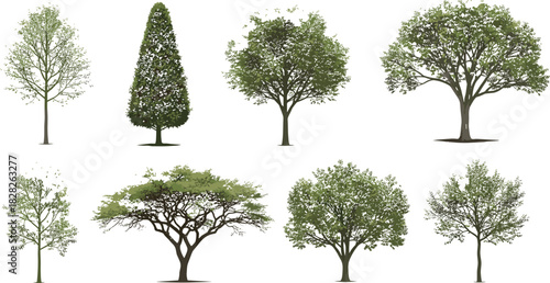 Set of eight diverse tree illustrations showing canopy shapes, foliage density, and branching styles, isolated on white for design use.v