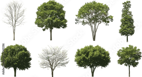 Set of eight diverse tree illustrations showing seasonal foliage, branching styles, and canopy shapes, isolated on white for design use.