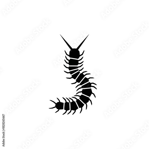 Silhouette of a Centipede with Many Legs Curving in an S Shape.