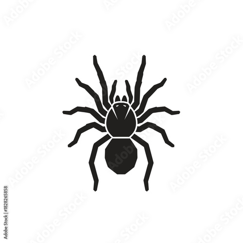 Silhouette of a Spider with Eight Legs and Two Body Sections.