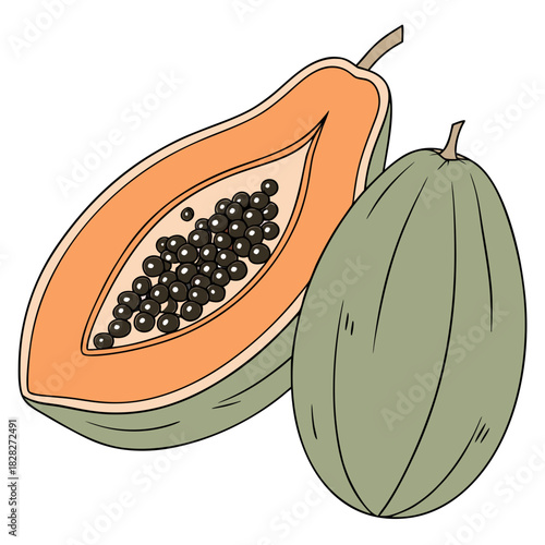 A vibrant illustration of a halved papaya revealing its juicy orange flesh and numerous black seeds alongside a whole green papaya on a white background