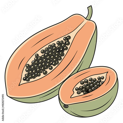 Vibrant illustration of a halved papaya and a smaller papaya slice showcasing their juicy orange flesh and numerous black seeds against a clean white background