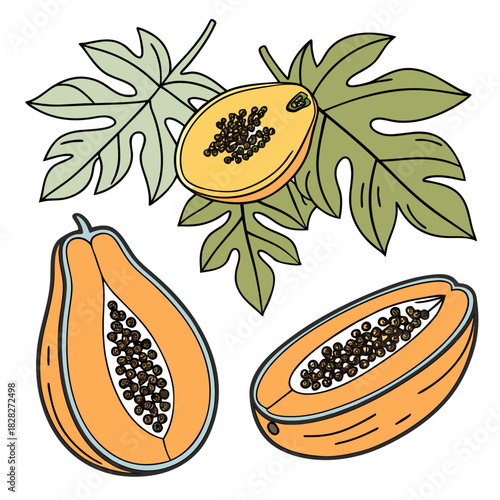 A vibrant illustration of ripe papayas one whole and two halved showcasing their juicy orange flesh and numerous black seeds surrounded by lush green leaves perfect for tropical themes