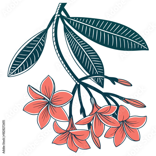 A stylized illustration of a branch with blooming coral plumeria flowers and dark teal leaves against a white background showcasing tropical beauty