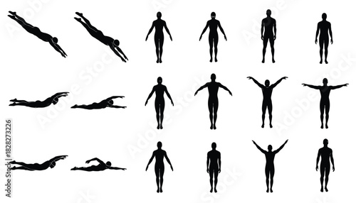 Swimming and Standing Posture Vector Silhouettes for Motion Study and Fitness Design