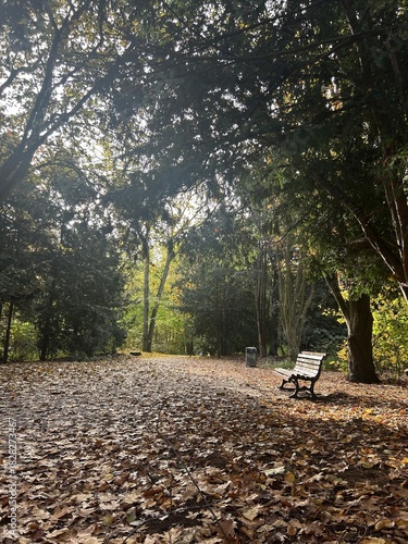 Berlin Germany October 2025 Leaf covered autumn path with white bench under a canopy of trees