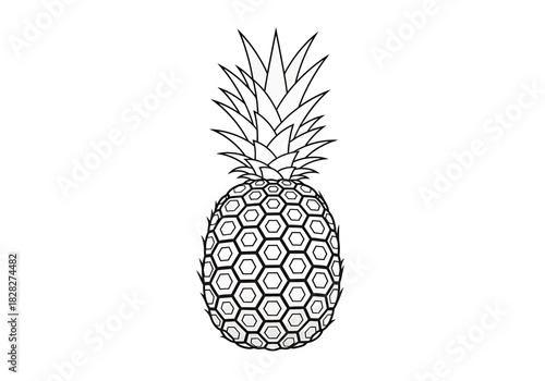 Outline Illustration of a Pineapple