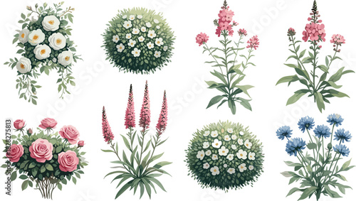 Flowering plant illustration set, botanical design, floral elements, garden inspiration, nature artwork, vector graphics, white background