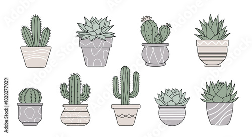 Minimalistic collection of diverse potted cacti and succulents, featuring stylish planters with subtle patterns in a clean, illustrative style.