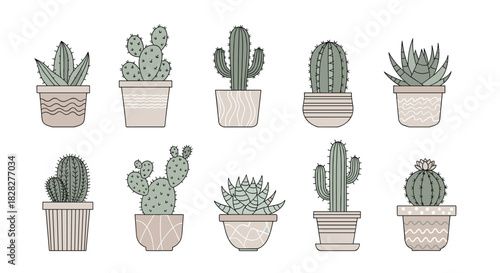 A collection of various potted cacti and succulents with a minimalist, hand-drawn illustration style, featuring neutral and pastel green colors.