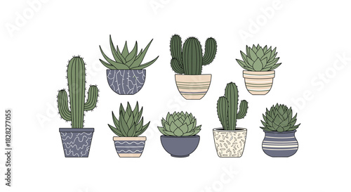 A charming collection of various potted succulents and cacti, showcasing different plant types and decorative pot designs on a white background.