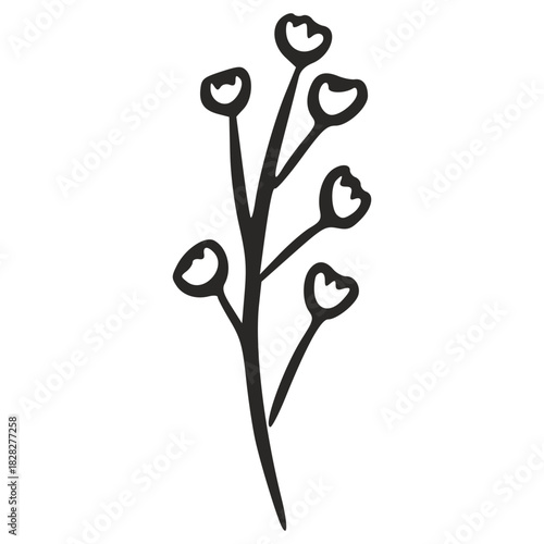 Handdrawn delicate plant with tiny buds