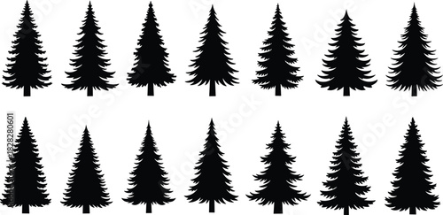 Pine tree silhouette collection featuring various evergreen shapes, detailed forest conifer illustrations for nature, outdoor design, landscape elements and woodland vector artwork