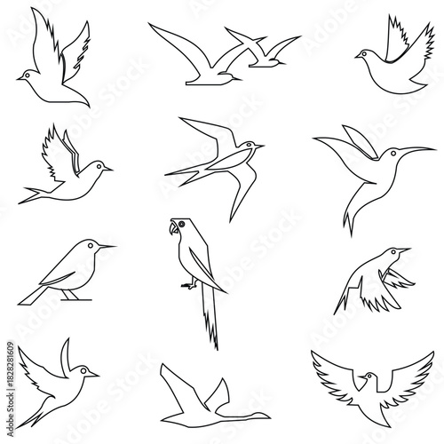 Wild Bird Silhouette Set – Flying, Perched and Waddling Forest Birds Vector Collection