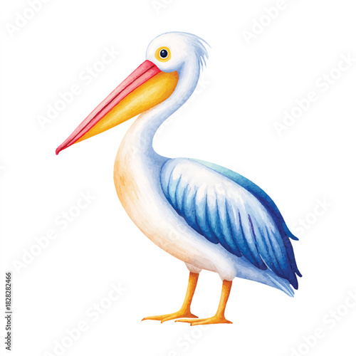 Cute Watercolor Pelican Bird Illustration