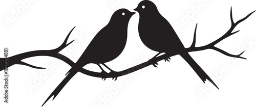 Two black birds perched on a tree branch silhouette