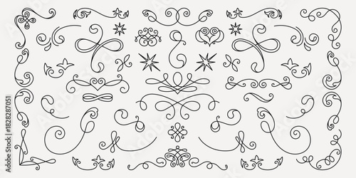 Vector set. Elegant black decorative swirls and flourishes on a white background. Swirls and flourishes create a vintage, ornamental design. Perfect for elegant decor. Hand drawn ornament vector set.