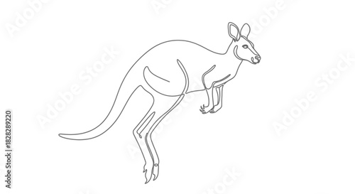 Elegant line art drawing of a kangaroo silhouette on a stark white background