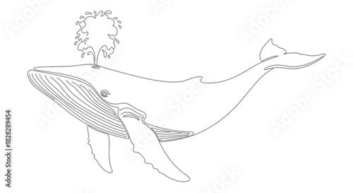 Elegant outline of a breaching whale spouting water creating a simplistic design