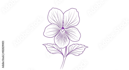 Elegant violet flower line art illustration in bloom displaying intricate floral patterns and