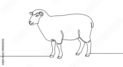 Elegant simplicity captured in a minimalist one-line drawing of a domestic sheep