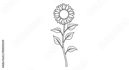 Elegant minimalist sunflower illustration with delicate lines and serene botanical aesthetic