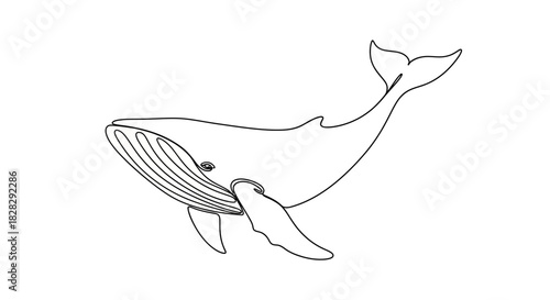 Elegantly simple one-line drawing of a whale showcasing minimalistic art style