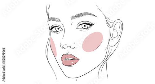 Elegant line drawing of a woman's face highlighting cosmetic blush application technique