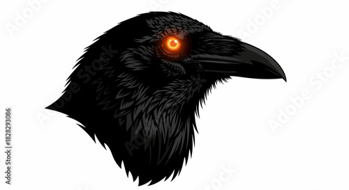 Illustration of a black raven's head with glowing orange eye on white background